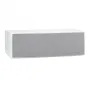 Центральный канал Martin Logan Motion 50XTi Matte White